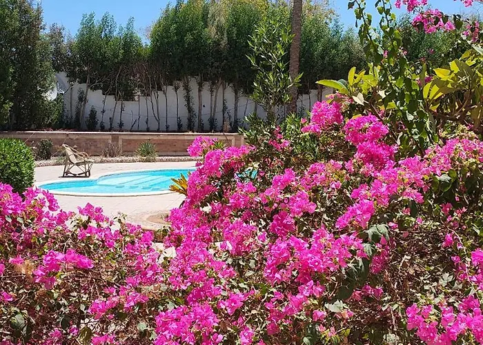 Lux Gardenhouse Pool Wifi Private Garden *