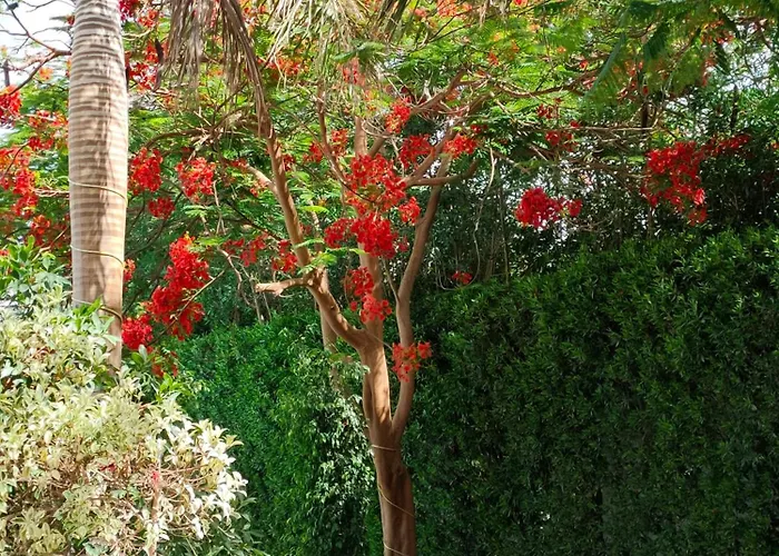 Apartman Lux Gardenhouse Pool Wifi Private Garden Gurdaka